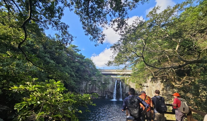 Jeju 1 Day Bus Tour Package (East/Southwest & Hallasan)