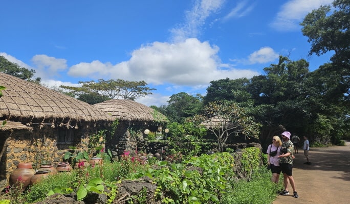 Jeju 1 Day Bus Tour Package (East/Southwest & Hallasan)