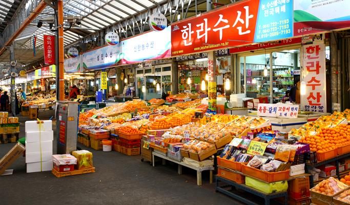 Spring Special: Jeju Island Cherry Blossom & Canola Flower 1 Day Tour (Mar 24~Apr 12)