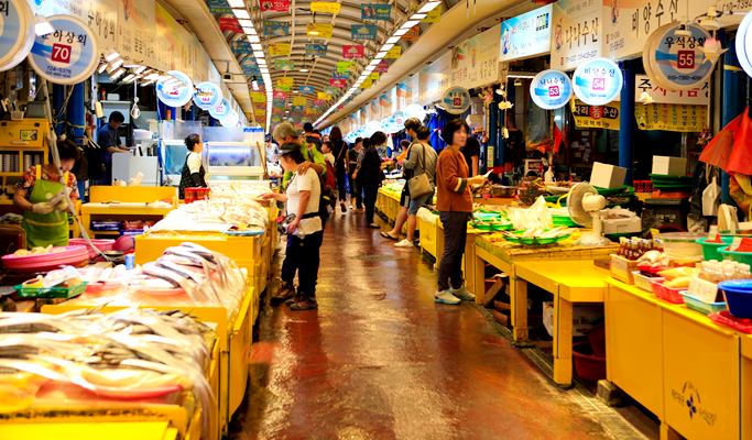 Spring Special: Jeju Island Cherry Blossom & Canola Flower 1 Day Tour (Mar 24~Apr 12)