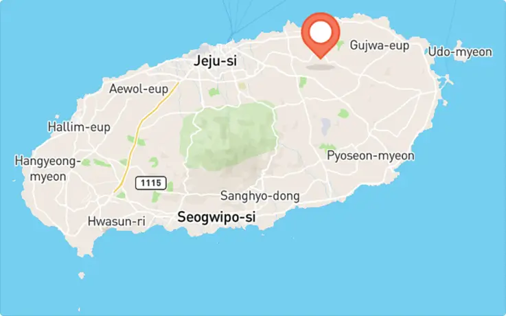 Fairy and Woodsman Theme Park in Jeju City map