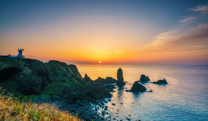 Jeju Layover Tour for Cruise Passengers (Join-in/Private)
