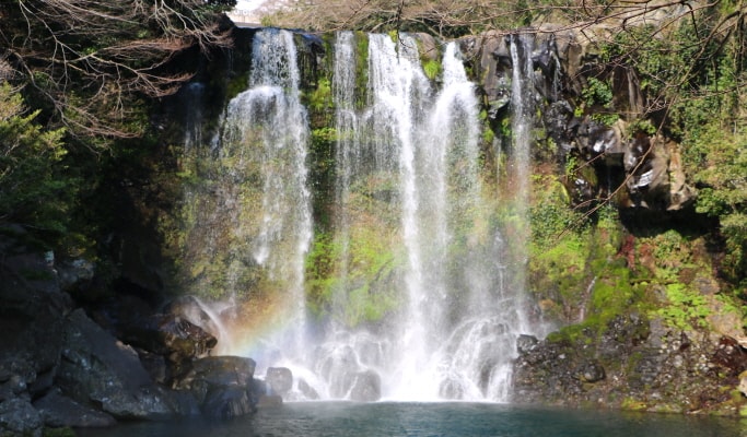 Visit Jeju Island in 1 Day from Daegu (Round-trip Flights & Group Tour Included)