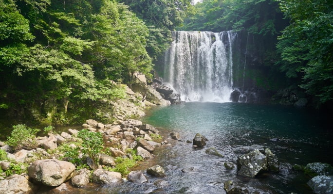 Jeju 1 Day Tour with Lunch & Entrance Included (+Accommodation option) (East/West)
