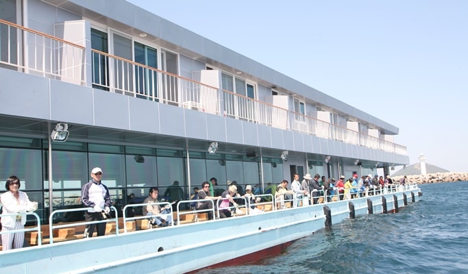 Fishing at Jeju Marine Resort near Seongsan Ilchulbong (Sunrise Peak)