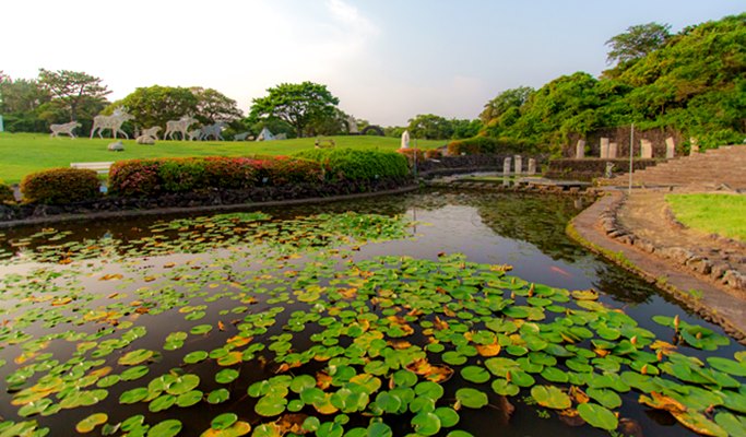Jeju Forest Fantasia Discount Ticket