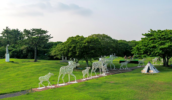 Jeju Forest Fantasia Discount Ticket