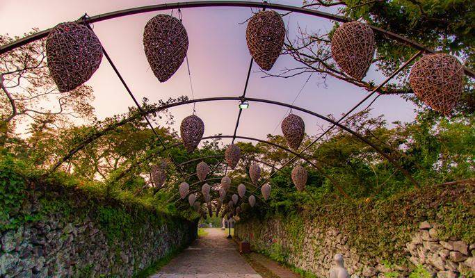Jeju Forest Fantasia Discount Ticket