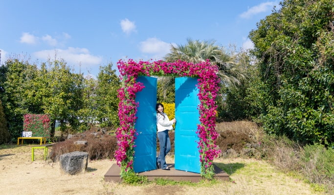 The Garden of Van Gogh in Jeju Discount Ticket