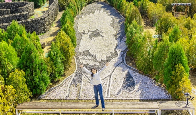 The Garden of Van Gogh in Jeju Discount Ticket