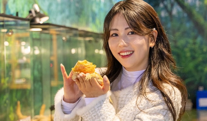 The Garden of Van Gogh in Jeju Discount Ticket