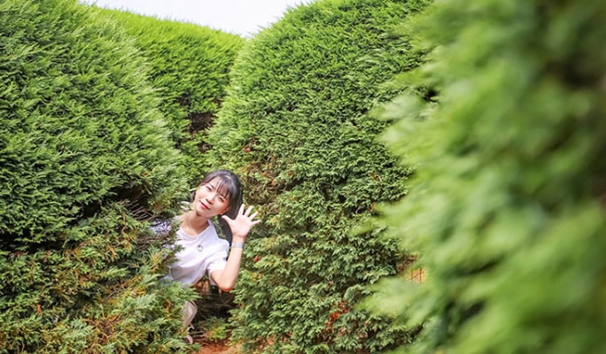 濟州金寧迷宮公園門票