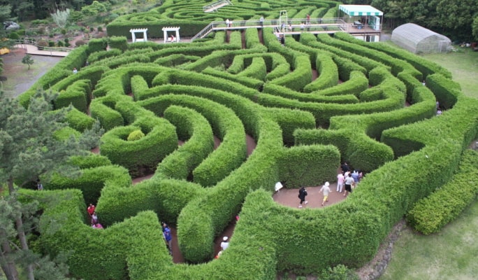 濟州金寧迷宮公園門票