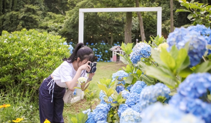 濟州金寧迷宮公園門票