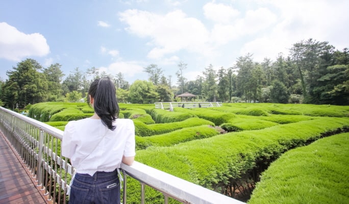 濟州金寧迷宮公園門票