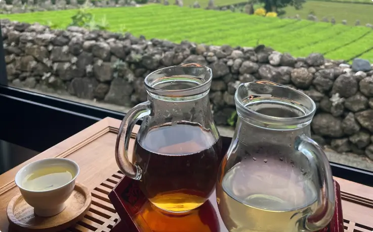Cup of warm green tea by the window with a view of a vast green tea field.
