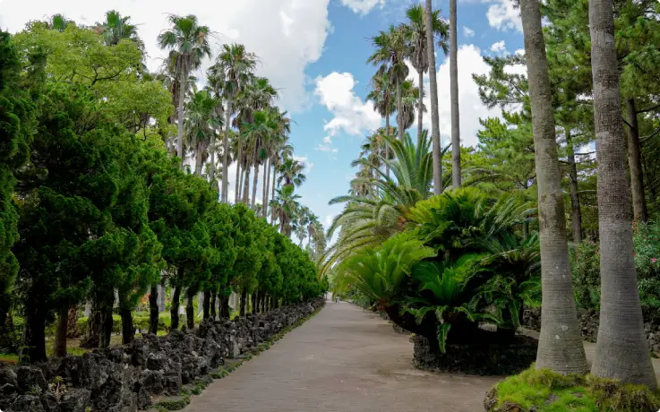 Lush tropical vegetation at Hallim Park on Jeju Island.