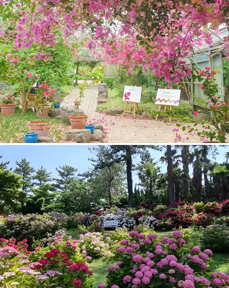 Botanical gardens at Hallim Park Jeju