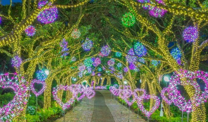 Jeju Herb Garden (Herb Dongsan) Discount Ticket