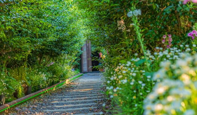 Jeju Herb Garden (Herb Dongsan) Discount Ticket