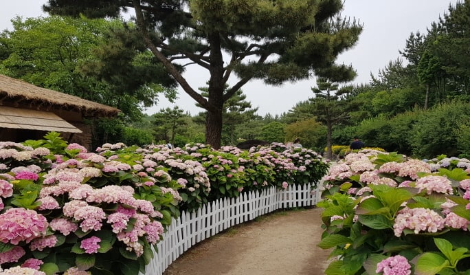 済州「休愛里（ヒュエリ）自然生活公園」割引チケット
