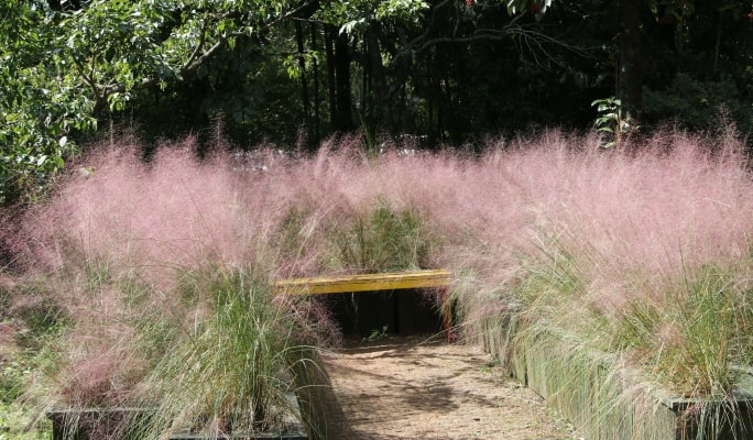 濟州休愛里自然公園折扣票