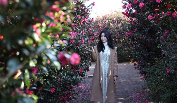 濟州休愛里自然公園折扣票