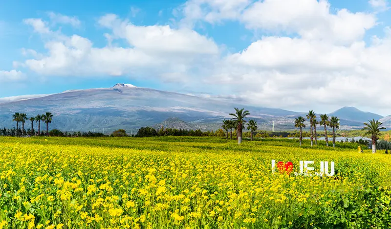 Jeju Hueree Natural Park Discount Ticket