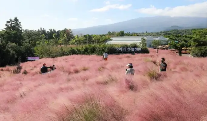 Jeju Hueree Natural Park Discount Ticket