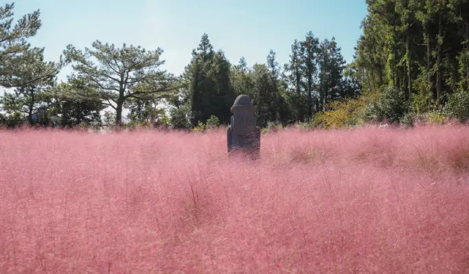 Jeju Hueree Natural Park Discount Ticket