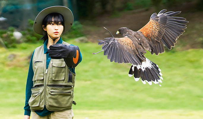 済州花鳥園（ファジョウォン）割引チケット