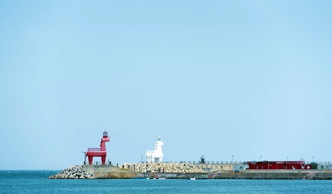 済州シティツアーバス : Hop On & Hop Off 1 日パス