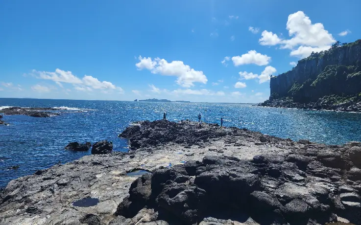 View of Jusangjeolli Cliff and the surrounding ocean