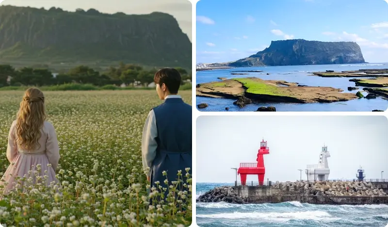 Jeju K-Drama Filming Locations 1 Day Tour (East/ West Course)