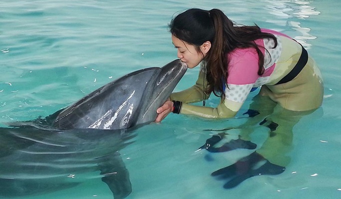 Jeju Marine Park Discount Ticket (+ Dolphin Training option) / Dolphin Swimming