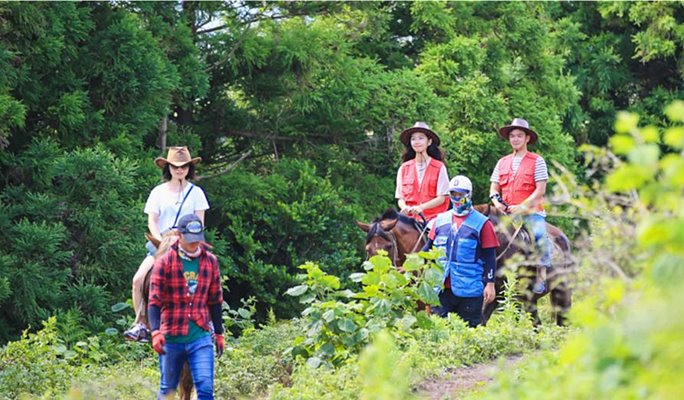 Horse Riding On Jeju Islands Open Hillside - 