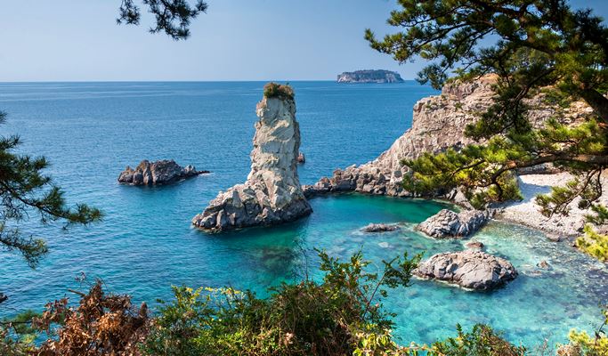 Hire a mini bus/big van with a driver in Jeju - Jeju Mini Bus/Big Van Tour (up to 12/20 passengers)