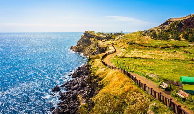 Hire a mini bus/big van with a driver in Jeju - Jeju Mini Bus/Big Van Tour (up to 12/20 passengers)
