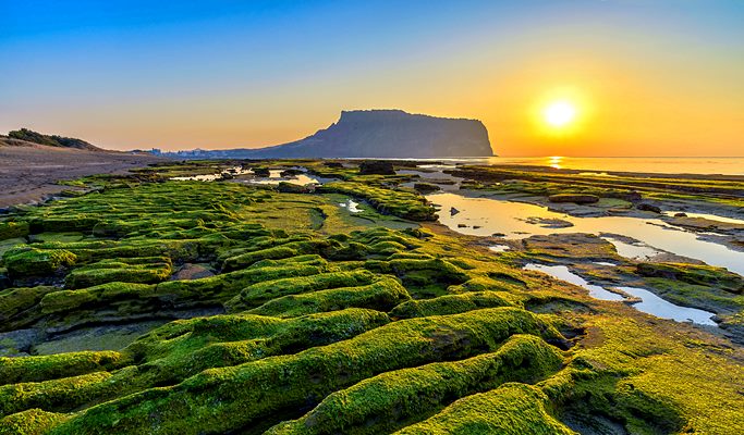Hire a taxi with a driver in Jeju - Jeju Taxi Tour (up to 4 passengers)