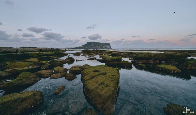 Wander Jeju on Foot: Jeju Island Olle Trail Trekking Tours