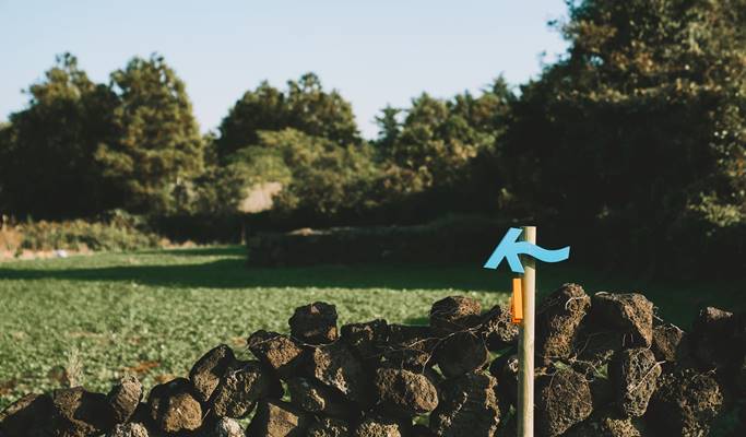 Wander Jeju on Foot: Jeju Island Olle Trail Trekking Tours