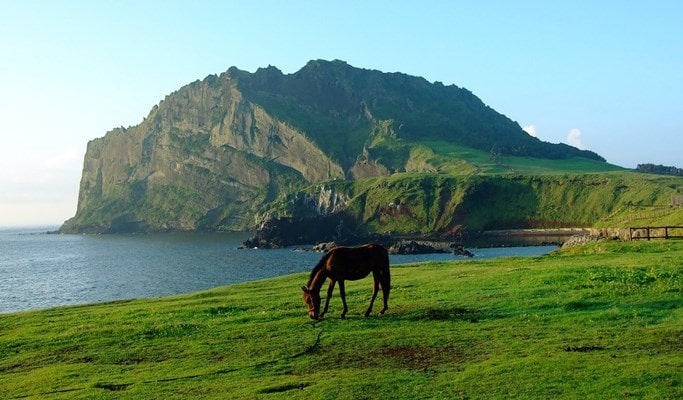 濟州島私人一日遊輪海岸遊覽