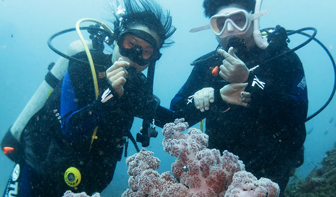 Snorkeling/ Scuba Diving near Hamdeok Beach in Jeju