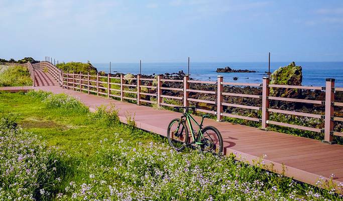 jeju island bike tour