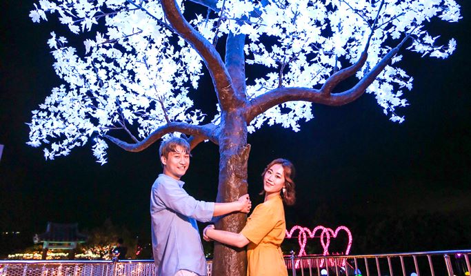 Jeju Seri World Romantic Maze Light Garden Discount Ticket