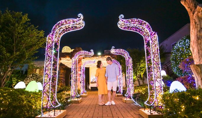 Jeju Seri World Romantic Maze Light Garden Discount Ticket