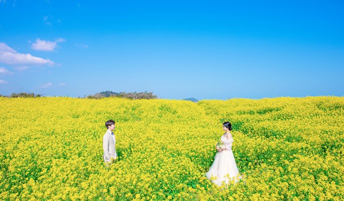済州スナップ撮影（ポートレート/カップル/友達/家族）