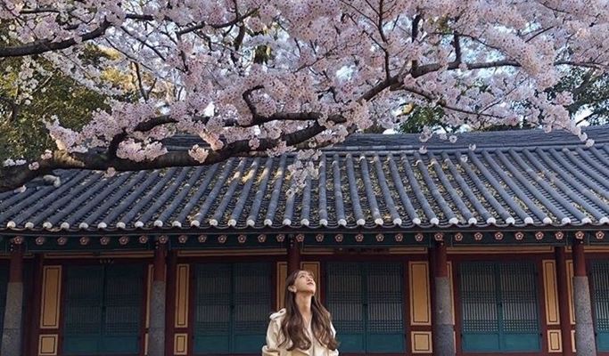 Jeju East/West Course 1 Day Bus Tour (+ Snap Photoshoot with photographer)