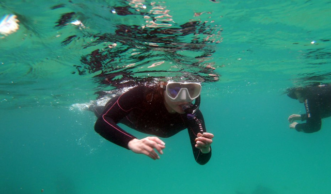 Snorkeling/ Scuba Diving near Hamdeok Beach in Jeju
