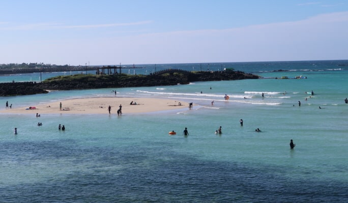 Jeju 1 Day Tour with Lunch & Entrance Included (+Accommodation option) (East/West)